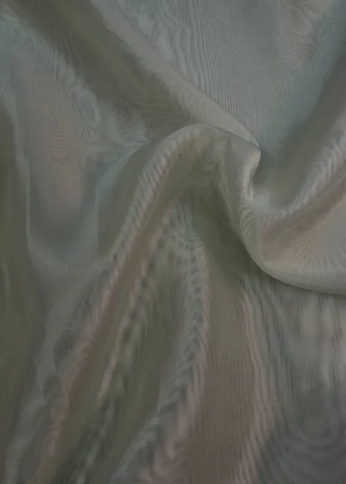 Tills mikroplīvurs (1045-51)