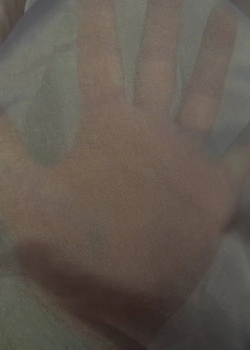 Tills mikroplīvurs (1045-9)